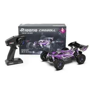 Rlaarlo 1/14 Brushless Buggy, 80+ KMH RTR, #XDKJ-006 – carbon chassis