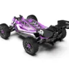 RLAARLO RC Buggy