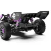 RLAARLO RC Buggy