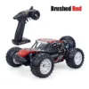 ZD Racing 9059 RC Buggy