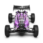 RLAARLO RC Buggy