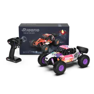 Rlaarlo AM-D12 1/12 RTR Brushless RC Desert Truck , Max 45MPH Fast RC Car (pink)