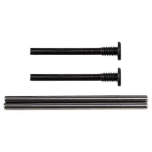 Team Associated Apex 2 Hinge Pins
