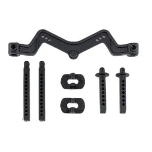 Team Associated Dr10 Body Mount and Posts