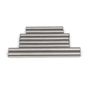 Associated b6/b6.1 Hinge Pin Set