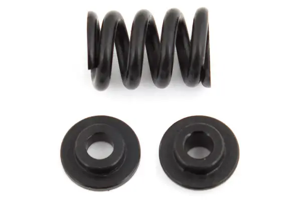 Team Associated B6.1 Slipper Spring
