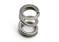 Team Associated B44/B6/B6d Slipper Spring