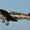 FMS P-40b Flying Tiger PNP 980mm - Image 4