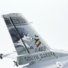 FMS 64mm F-16 Grey Edf PNP - Image 9