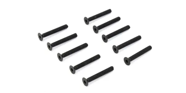 Hex Flat Head Screws M3x22mm (10)