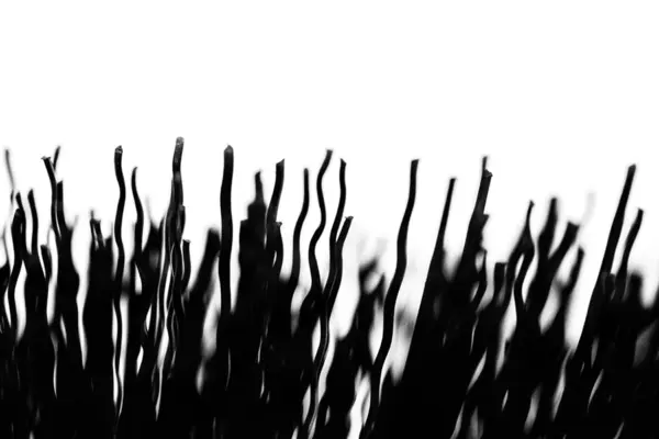 Muc-Off Tyre & Cassette Brush