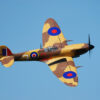 Xfly Supermarine Spitfire Mkix Brown 1200mm No Landing Gear Without Tx/Rx/Bat - Image 11