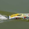 Joysway Smart Cat Electric Abs 420mm Brushed 2.4g RTR Boat - Image 9
