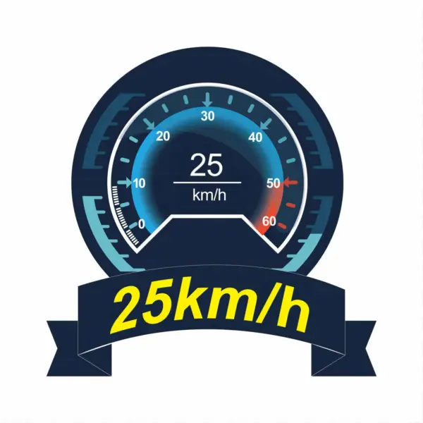 Joysway E1 Racebird 1:14 545mm RTR Hydrofoil Boat Team Aoki