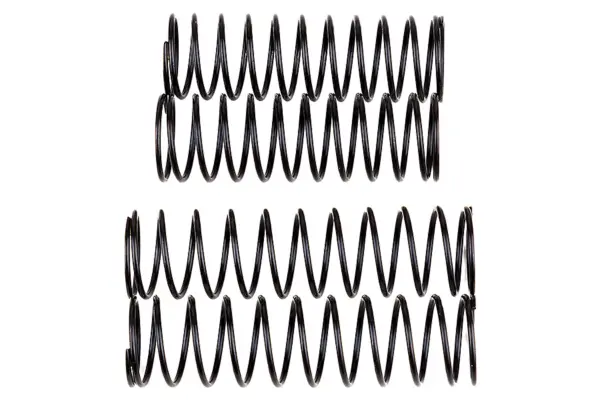 Team Associated Rival Mt10 Shock Spring Set – view 2