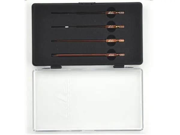 Power Tool Tip Set 4 Pieces With Plastic Case (Metric)