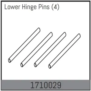 Lower Hinge Pins (4)