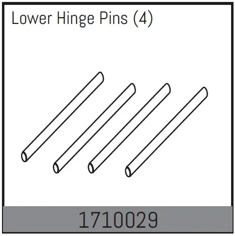 Lower Hinge Pins (4)