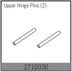 Upper Hinge Pins (2)