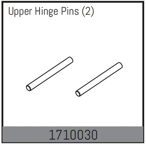 Upper Hinge Pins (2)