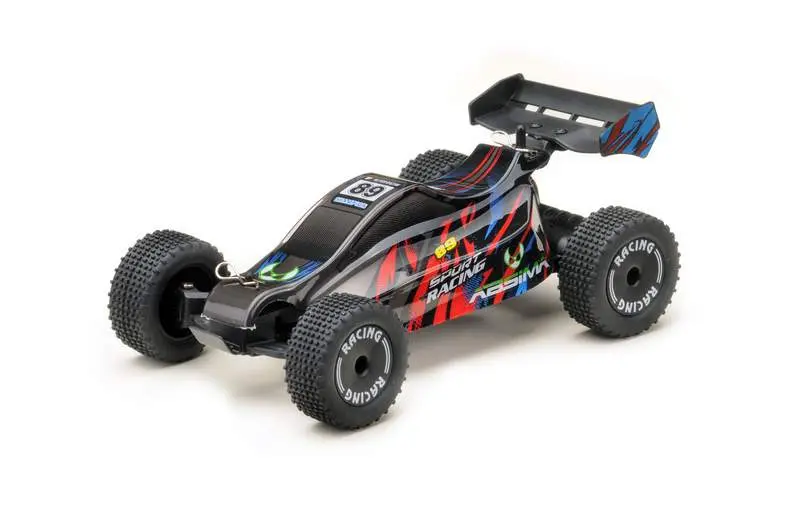1:24 2wd Racing Buggy X Racer RTR With Esp