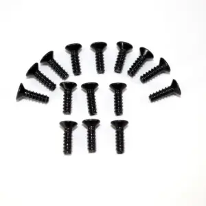 Flat Phillips Head Screw M3x10 (15)