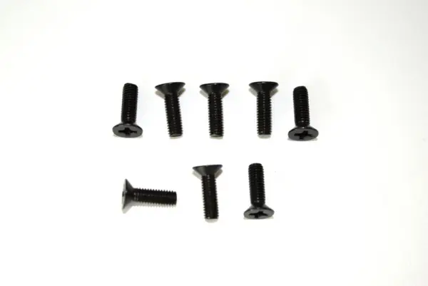 Flat Phillips Head Screw M3x10 (8)