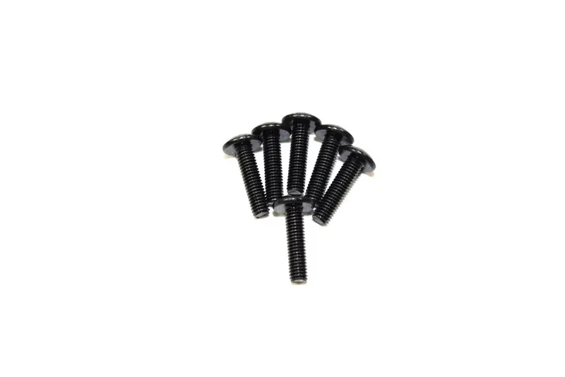 Round Head Screw (4)