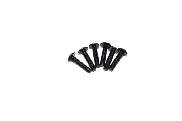 Cap Head Screw (4)