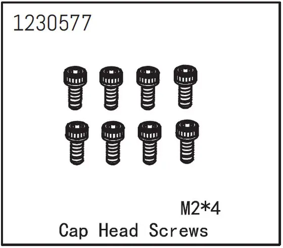 Cap Head Screw M2*4 (8)