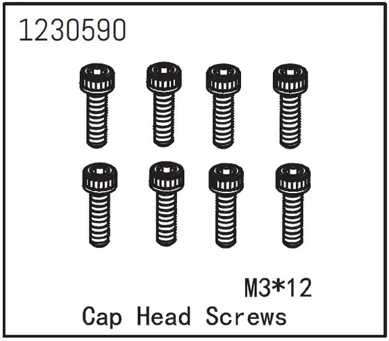 Cap Head Screw M3*12 (8)