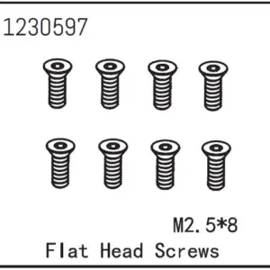 Flat Head Screw m2.5*8 (8)