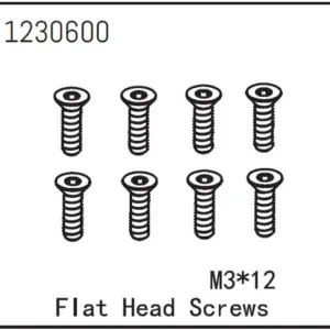 Flat Head Screw M3*12 (8)