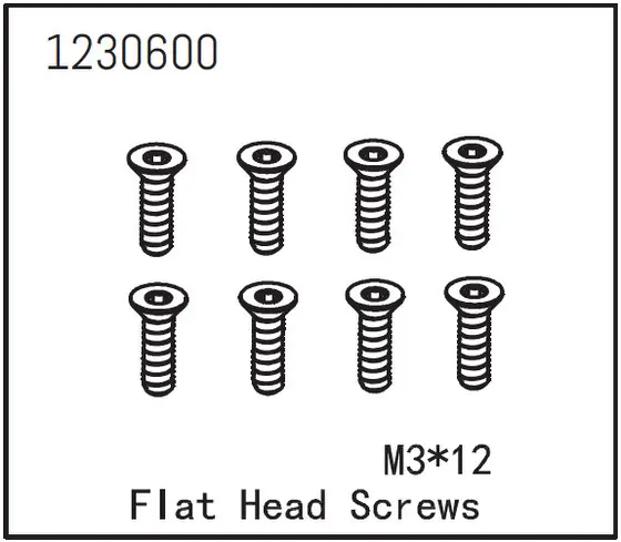 Flat Head Screw M3*12 (8)