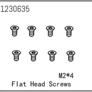 Flat Head Screw M2*4 (8)