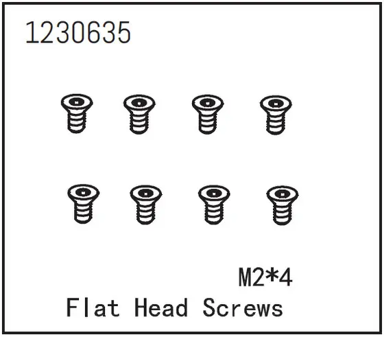 Flat Head Screw M2*4 (8)