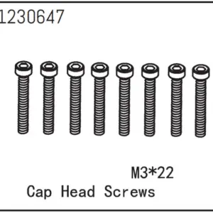 Cap Head Screws M3*22 (8)