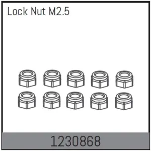 Lock Nut m2.5 (10)