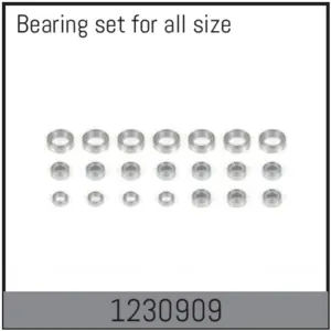 Complete Bearing Set