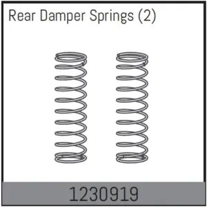Rear Damper Spring (2)