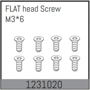 Flat Head Screws M3*6 (8)