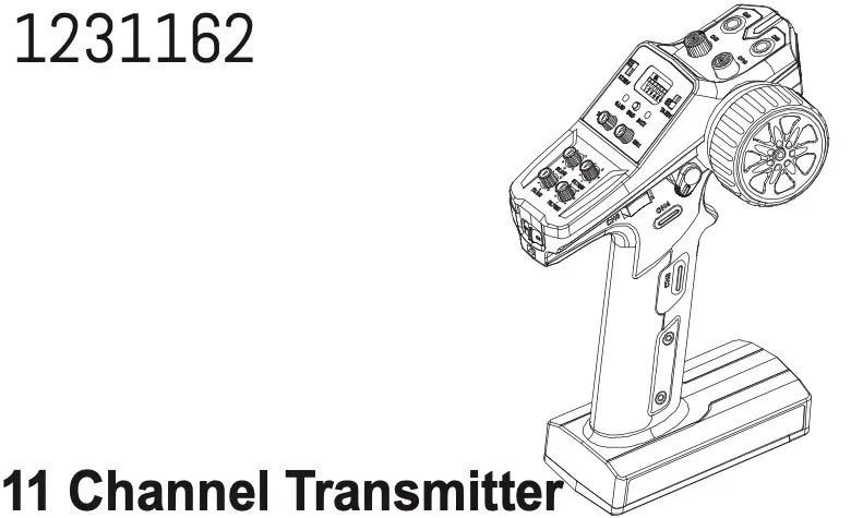 11 Channel Transmitter