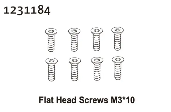 Flat Head Screw M3*10 (8)