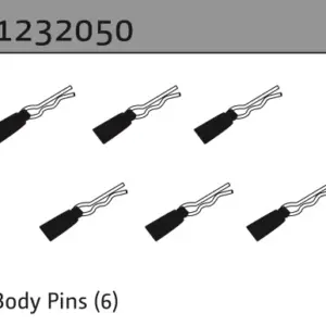 Body Pins (6)