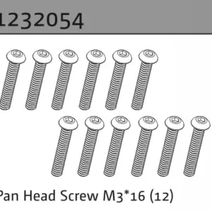 Pan Head Screw M3*16 (10)