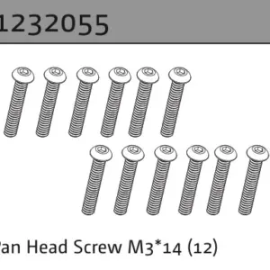 Pan Head Screw M3*14 (18)