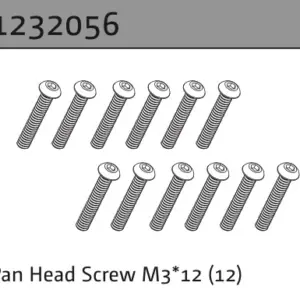 Pan Head Screw M3*12 (22)
