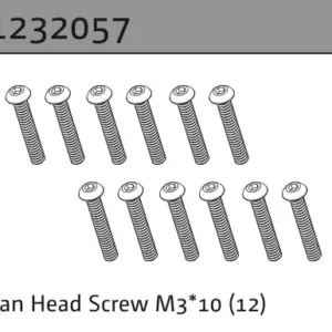 Pan Head Screw M3*10 (12)