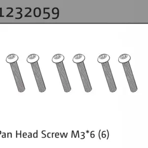 Pan Head Screw M3*6 (6)