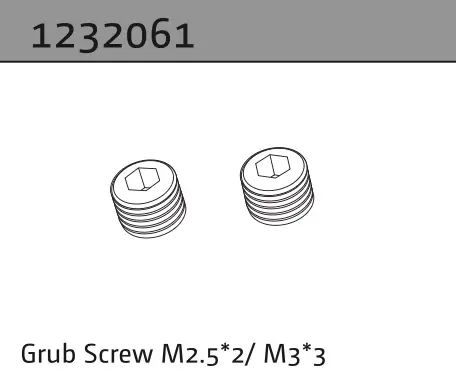 Grub Screw m2.5*2/m3*3 (2)